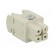 Connector: HDC | female | EPIC H-A | PIN: 4 | 3+PE | size H-A 3 | 23A | 400V image 8