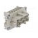 Connector: HDC | contact insert | female | EPIC H-BVE | PIN: 5 | 5+PE image 8