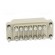 Connector: HDC | female | EPIC STA | PIN: 14 | size H-A 10 | 7.5A | 60V image 5