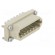 Connector: HDC | female | EPIC STA | PIN: 14 | size H-A 10 | 7.5A | 60V image 8