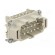 Connector: rectangular | male | EPIC H-BE | PIN: 10 | 10+PE | 16A | 500V image 8
