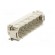 Connector: HDC | contact insert | male | EPIC H-D | PIN: 64 | 64+PE | 10A paveikslėlis 8