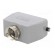 Enclosure: for HDC connectors | EPIC H-B | size H-B 16 | PG21 image 6