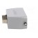 Enclosure: for HDC connectors | EPIC H-B | size H-B 16 | PG21 image 7