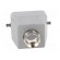 Enclosure: for HDC connectors | EPIC H-B | size H-B 6 | with flange paveikslėlis 5