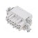 Connector: HDC | female | 500V | 16A | PIN: 10 | Layout: 10+PE | push-in paveikslėlis 1