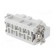 Connector: rectangular | male | Pitch: 77,5x27mm | 400V | 41A | PIN: 6 image 6