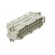 Connector: HDC | male | HE | PIN: 24 | 24+PE | size 8 | 16A | 500V | for cable image 8
