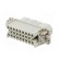 Connector: HDC | female | HD | PIN: 25 | 25+PE | size 5 | w/o contacts | 10A paveikslėlis 6