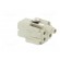 Connector: HDC | female | HDC | PIN: 5 | 4+PE | size 1 | 10A | 250V image 4