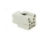 Connector: HDC | female | HDC | PIN: 5 | 4+PE | size 1 | 10A | 400V image 4