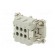 Connector: HDC | female | HE | PIN: 6 | 6+PE | size 3 | w/o contacts | 16A image 6
