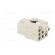 Connector: HDC | female | HQ | PIN: 8 | 7+PE | size 1 | w/o contacts | 10A image 4