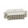 Connector: HDC | male | HD | PIN: 25 | 25+PE | size 5 | w/o contacts | 10A image 5