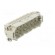 Connector: HDC | male | HD | PIN: 64 | 64+PE | size 8 | w/o contacts | 10A image 8