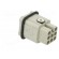 Connector: HDC | male | HD | PIN: 8 | size 1 | w/o contacts | 10A | 50V paveikslėlis 4