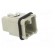 Connector: HDC | male | HD | PIN: 8 | size 1 | w/o contacts | 10A | 50V image 8