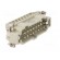 Connector: HDC | male | HE | PIN: 16 | 16+PE | size 6 | 16A | 500V | for cable paveikslėlis 8