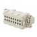 Connector: HDC | male | HE | PIN: 16 | 16+PE | size 6 | w/o contacts | 16A image 6