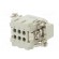 Connector: HDC | male | HE | PIN: 6 | 6+PE | size 3 | w/o contacts | 16A image 6