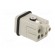 Connector: HDC | male | HQ | PIN: 6 | 5+PE | size 1 | w/o contacts | 16A image 4