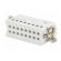 Connector: HTS | male | HTS HA | PIN: 16 | size 9 (3 x 5) | 16A | 250V image 6