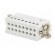 Connector: HTS | male | HTS HA | PIN: 16 | size 9 (3 x 5) | 16A | 250V фото 6