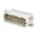 Connector: HDC | male | HTS HA | PIN: 16 | size 9 (3 x 5) | 16A | 250V image 2