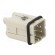 Connector: rectangular | male | PIN: 5 | 4+PE | size 1 | screws | straight image 8