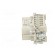 Connector: HDC | female | PIN: 10 | size 10 | contact insert | 400V | 16A image 3