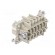 Connector: HDC | female | PIN: 10 | size 10 | Pitch: 57x27mm | 500V | 16A фото 4