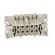 Connector: HDC | female | PIN: 10 | size 10 | Pitch: 57x27mm | 500V | 16A image 9