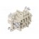 Connector: HDC | female | PIN: 6 | size 6 | Pitch: 44x27mm | 500V | 16A фото 4