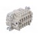 Connector: HDC | male | PIN: 10 | size 10 | contact insert | 500V | 16A image 4