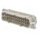 Connector: HDC | male | PIN: 24 | size 24 | contact insert | 500V | 16A paveikslėlis 1