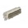 Connector: HDC | male | PIN: 24 | size 24 | contact insert | 500V | 16A paveikslėlis 8