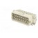 Connector: HDC | male | PIN: 2x16 | size 32 | contact insert | 600V | 16A фото 2