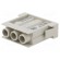 Connector: HDC | male | PIN: 3 | module | grey | Modules: 1 | 40A | 600V image 1