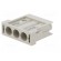Connector: HDC | male | PIN: 3 | module | grey | Modules: 1 | 40A | 600V image 6