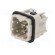 Connector: HDC | male | PIN: 4 | size 3 | contact insert | 400V | 10A image 2