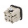 Connector: HDC | male | PIN: 4 | size 3 | contact insert | 400V | 10A image 6