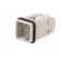 Connector: HDC | male | PIN: 5 | size 3 | contact insert | 400V | 10A paveikslėlis 2