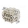 Connector: HDC | male | PIN: 6 | size 6 | Pitch: 44x27mm | contact insert paveikslėlis 6