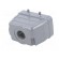 Enclosure: for HDC connectors | size 10 | for cable | M25 | straight paveikslėlis 6