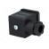 Connector: valve connector | plug | form A | 18mm | female | PIN: 3 | 230V фото 8