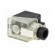 Connector: valve connector | plug | form A | 18mm | female | PIN: 3 | 2+PE image 8