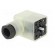 Connector: valve connector | plug | form A | 18mm | female | PIN: 3 | M16 фото 2