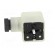 Connector: valve connector | plug | form A | 18mm | female | PIN: 3 | M16 фото 3