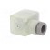 Connector: valve connector | plug | form A | 18mm | female | PIN: 3 | M16 image 8