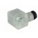 Connector: valve connector | plug | form A | 18mm | female | PIN: 3 | M16 image 6